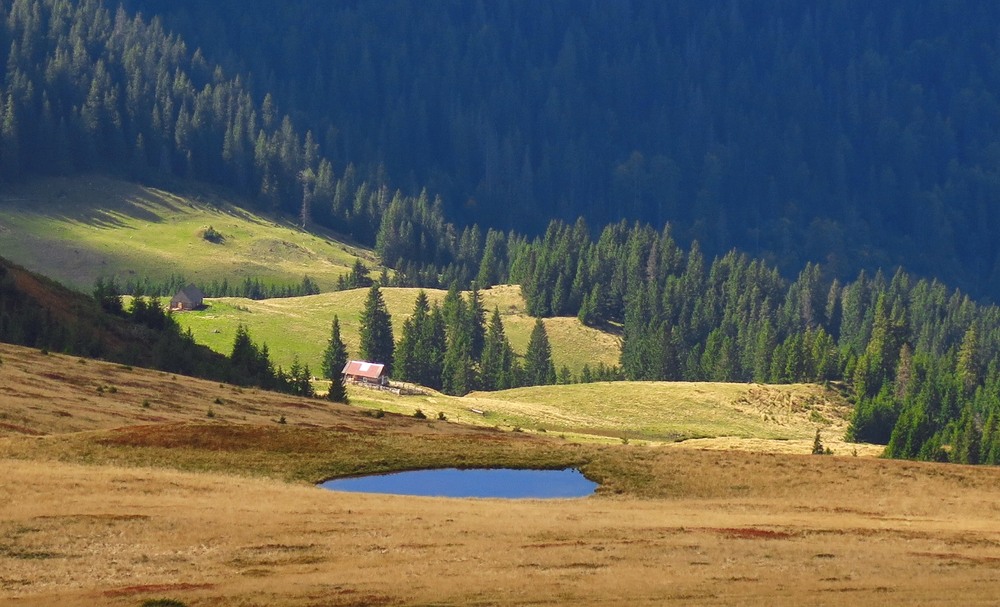 Фотографія Райський куточок / Леопольд / photographers.ua
