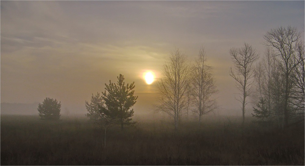 Фотографія Туманное утро / Леопольд / photographers.ua