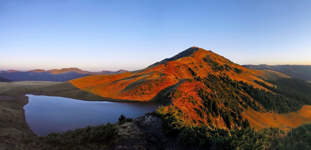 Фотографія Ранкова Фаркеу / Леопольд / photographers.ua