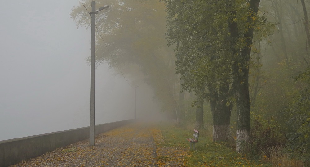Фотографія Осенний туман / Леопольд / photographers.ua