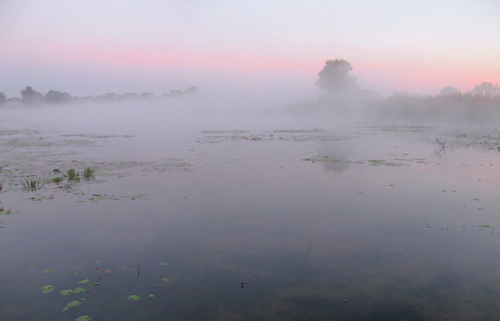 Фотографія Туманний ранок / Леопольд / photographers.ua
