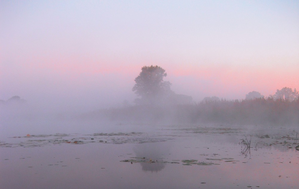 Фотографія Туманный рассвет / Леопольд / photographers.ua