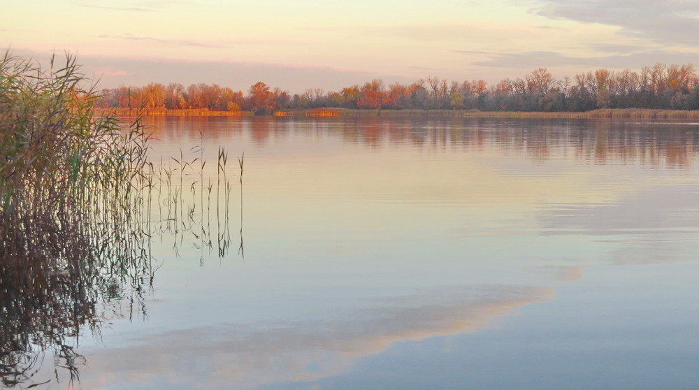 Фотографія Ранок на Дніпрі / Леопольд / photographers.ua