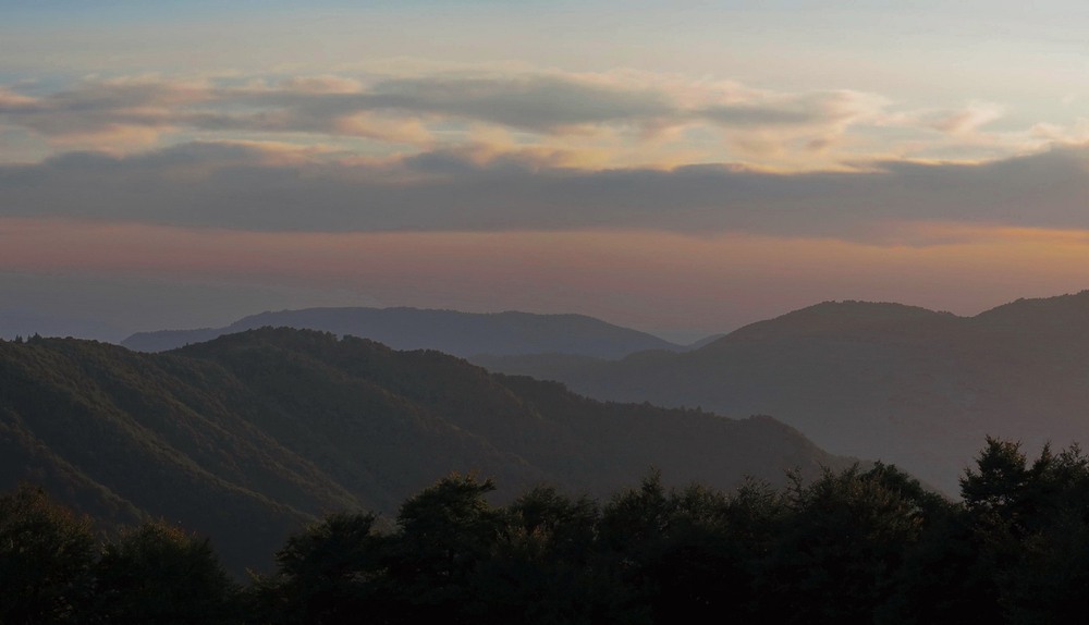 Фотографія Вечір / Леопольд / photographers.ua