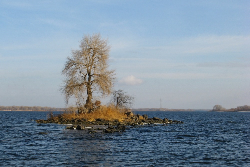 Фотографія *** / Леопольд / photographers.ua