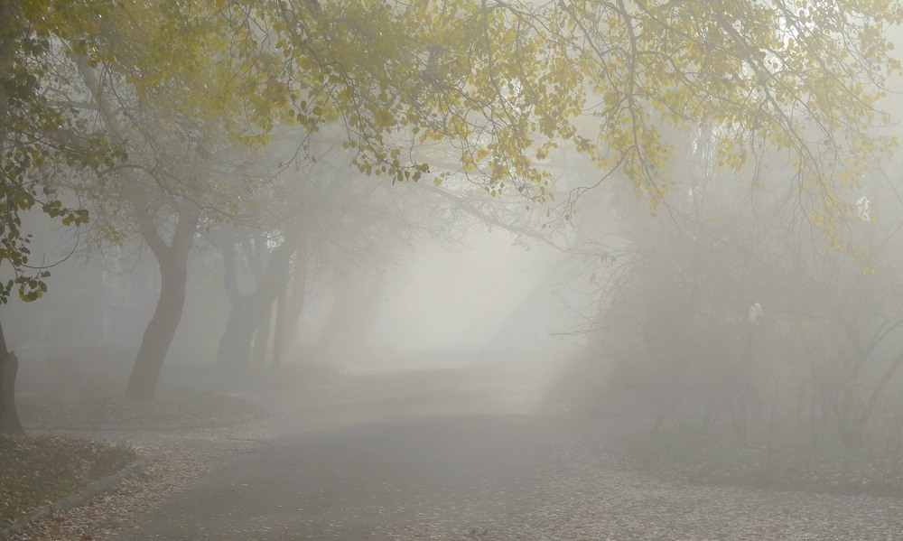 Фотографія Туман... / Леопольд / photographers.ua
