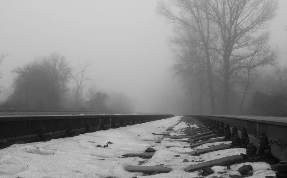 Фотографія Путь в магию тумана / Леопольд / photographers.ua