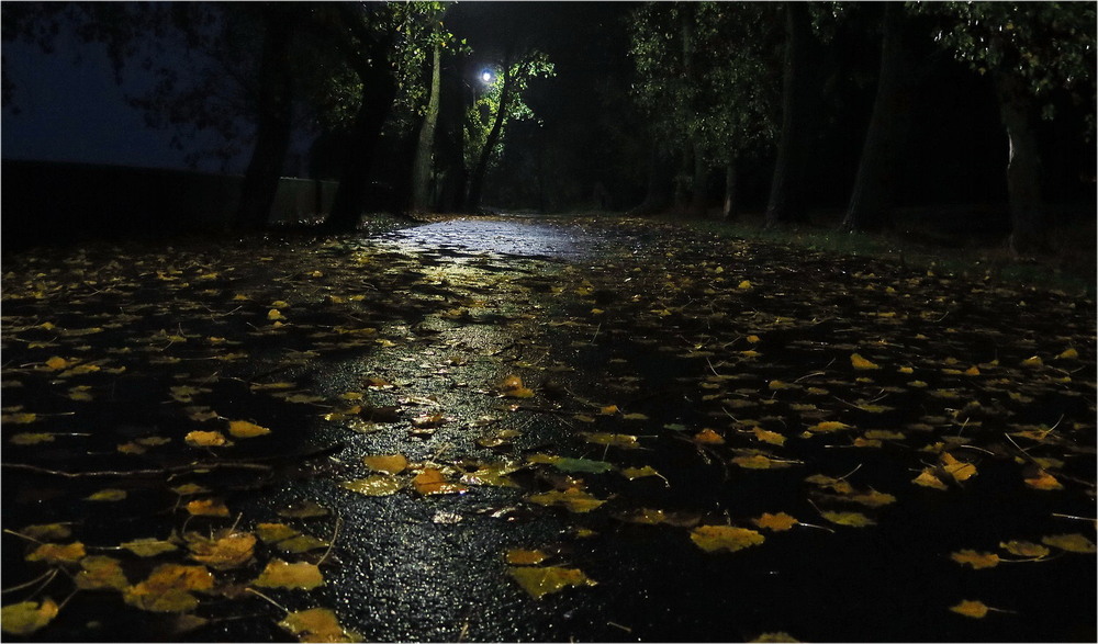 Фотографія Самотній ліхтар... / Леопольд / photographers.ua