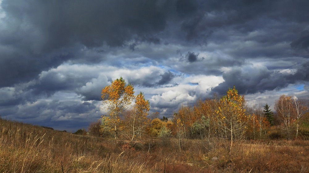 Фотографія Осень / Леопольд / photographers.ua