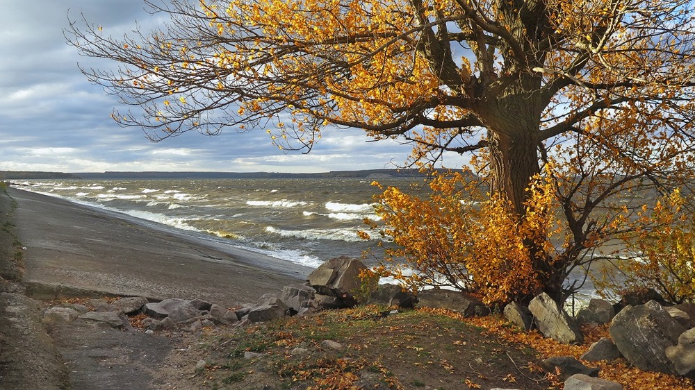 Фотографія Осенняя зарисовка / Леопольд / photographers.ua