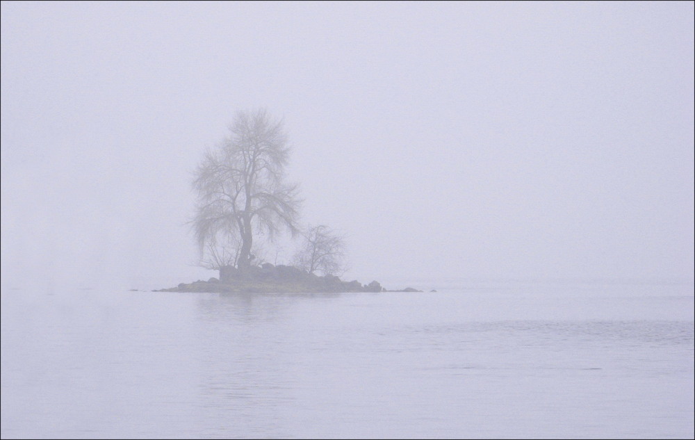 Фотографія Туманный минимализм / Леопольд / photographers.ua