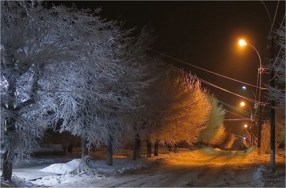 Фотографія Зимний наряд с подсветкой / Леопольд / photographers.ua