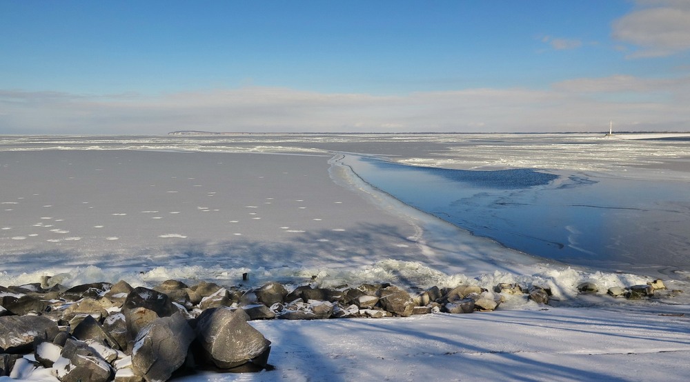 Фотографія Денні кольори / Леопольд / photographers.ua