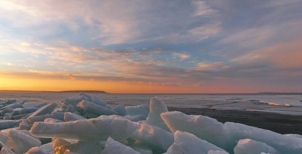 Фотографія *** / Леопольд / photographers.ua