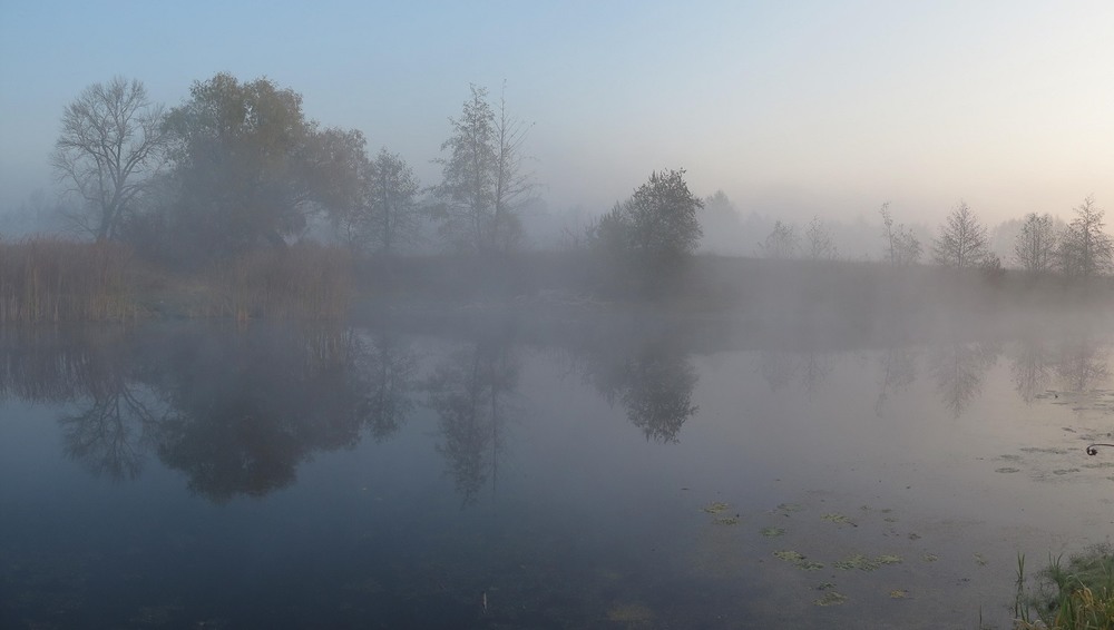 Фотографія Осень в тумане / Леопольд / photographers.ua