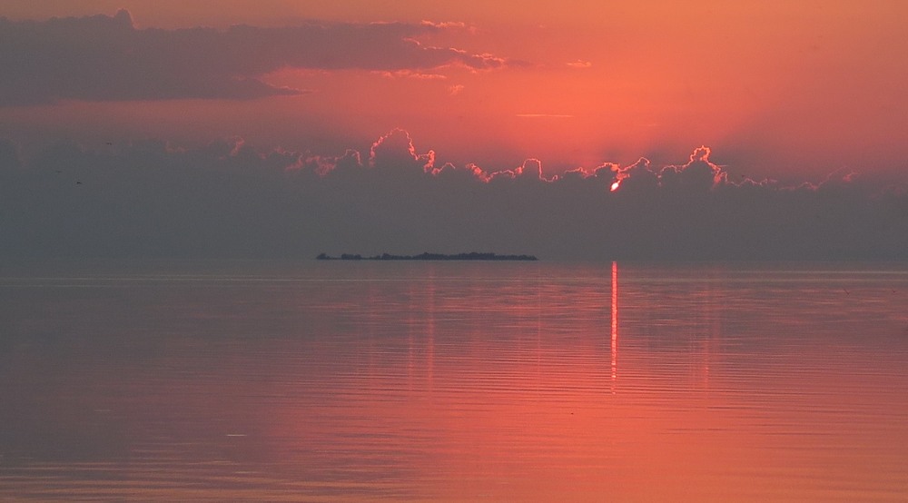Фотографія *** / Леопольд / photographers.ua