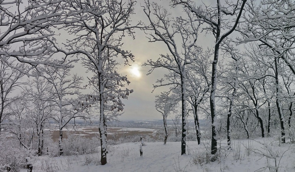 Фотографія Зима / Леопольд / photographers.ua