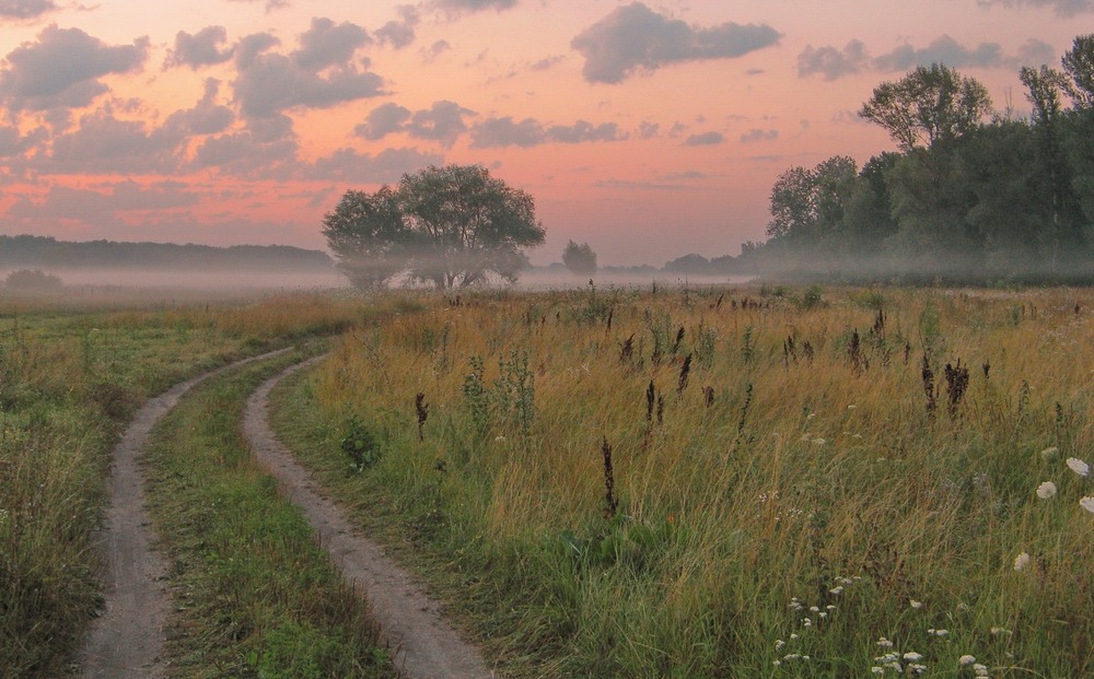 Фотографія Світанкова / Леопольд / photographers.ua