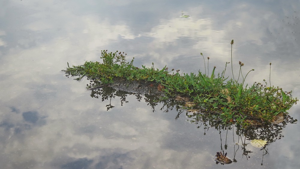 Фотографія Остров Невезения / Леопольд / photographers.ua