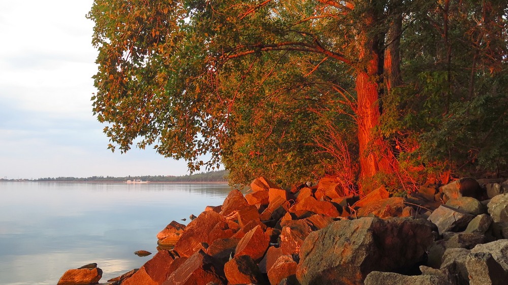 Фотографія Вечірнє / Леопольд / photographers.ua