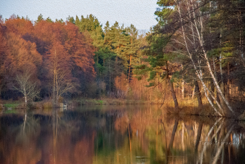 Фотографія «Лісове озеро» / Тарас Жаровський / photographers.ua