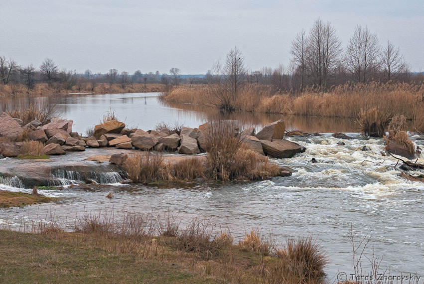 Фотографія Пороги на річці Вуж / Тарас Жаровський / photographers.ua