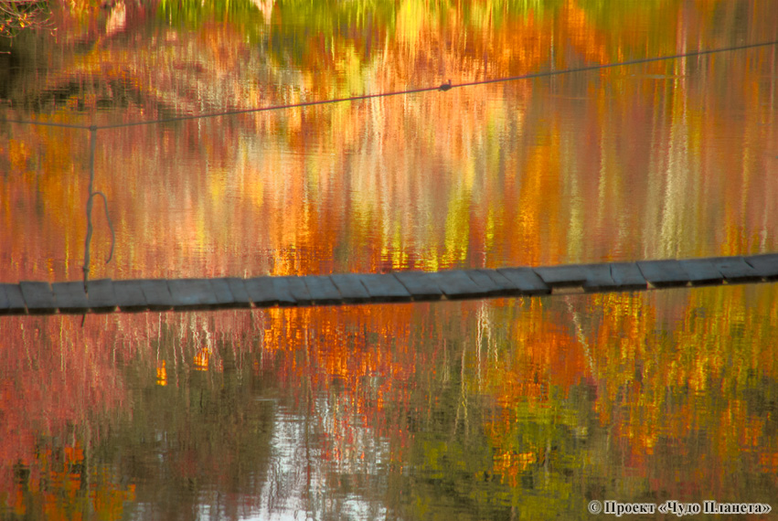 Фотографія «Осінні барви та тепло підвісного мосту» / Тарас Жаровський / photographers.ua