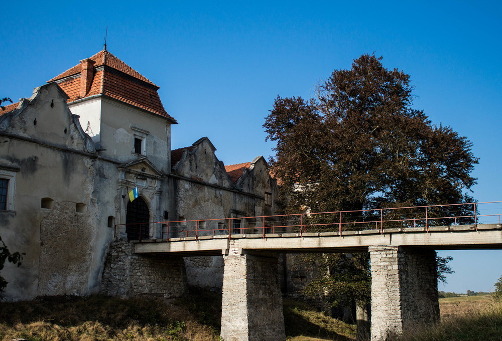 Фотографія Castle Near Lvov / Adriana Joy / photographers.ua