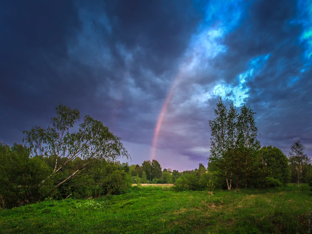 Фотографія *** / Евгений Луцко / photographers.ua