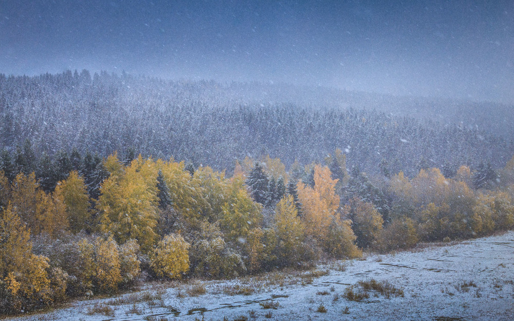 Фотографія Первый снег / Евгений Луцко / photographers.ua