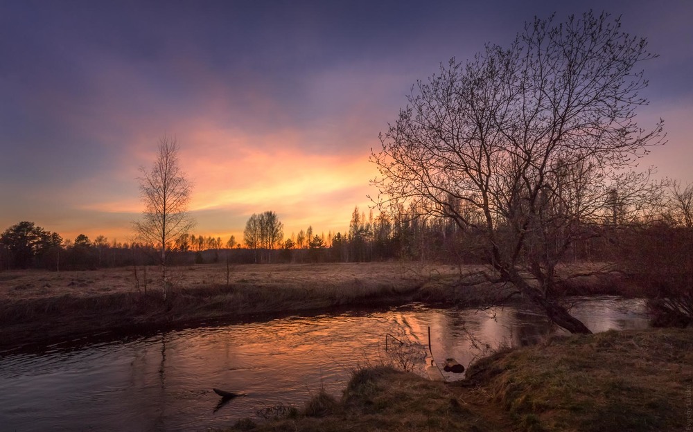 Фотографія *** / Евгений Луцко / photographers.ua