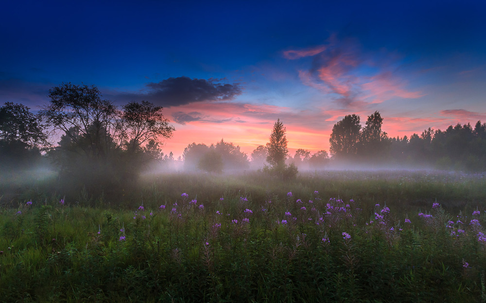 Фотографія *** / Евгений Луцко / photographers.ua