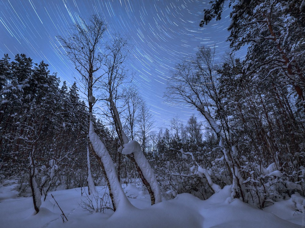 Фотографія Белый танец / Евгений Луцко / photographers.ua