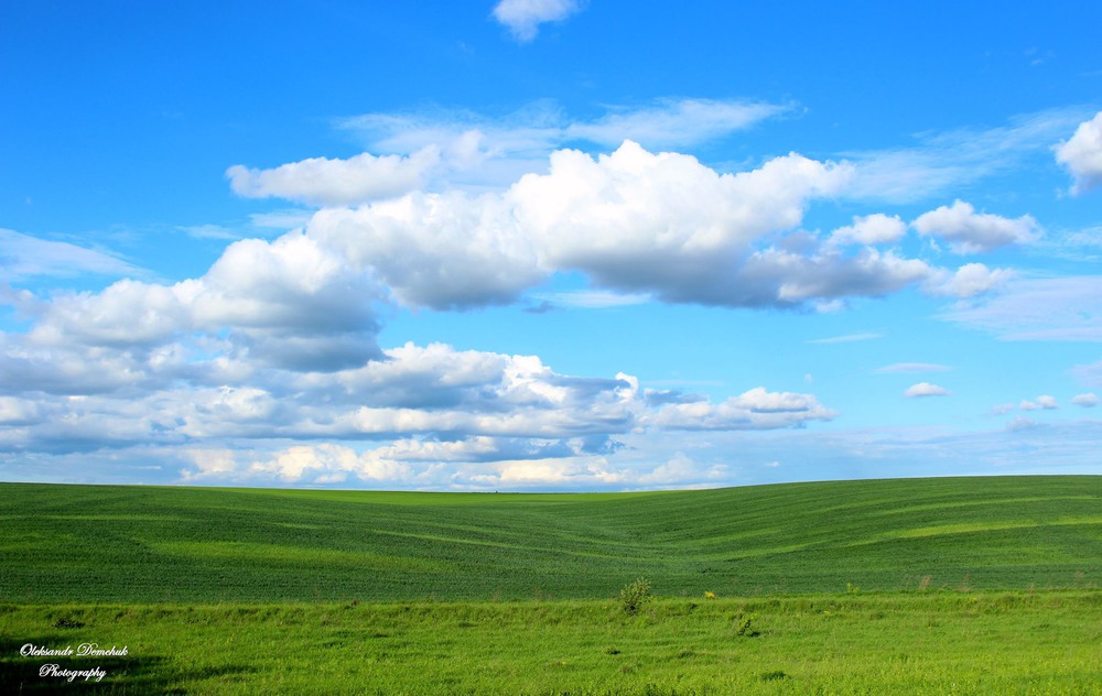 Фотографія blue sky & green field / Oleksandr Demchuk / photographers.ua