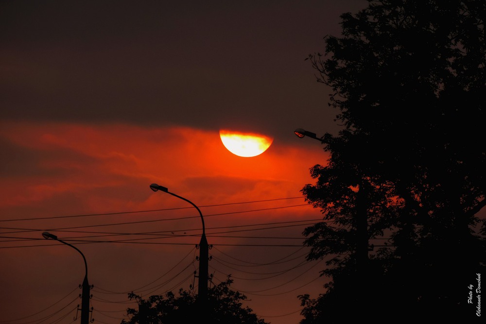 Фотографія Полум'яне сонце / Oleksandr Demchuk / photographers.ua