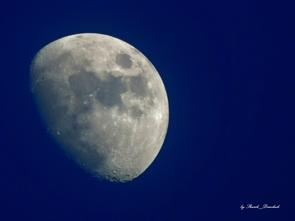Фотографія Місячна краса / Oleksandr Demchuk / photographers.ua