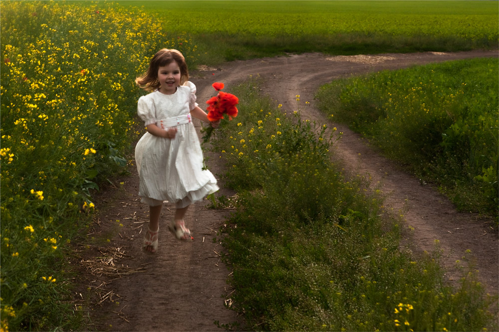 Фотографія белое перышко... / Елена Шовкопляс / photographers.ua