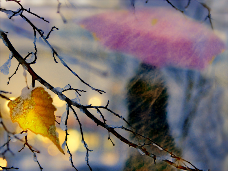 Фотографія моя душа настроена на осень... / Елена Шовкопляс / photographers.ua