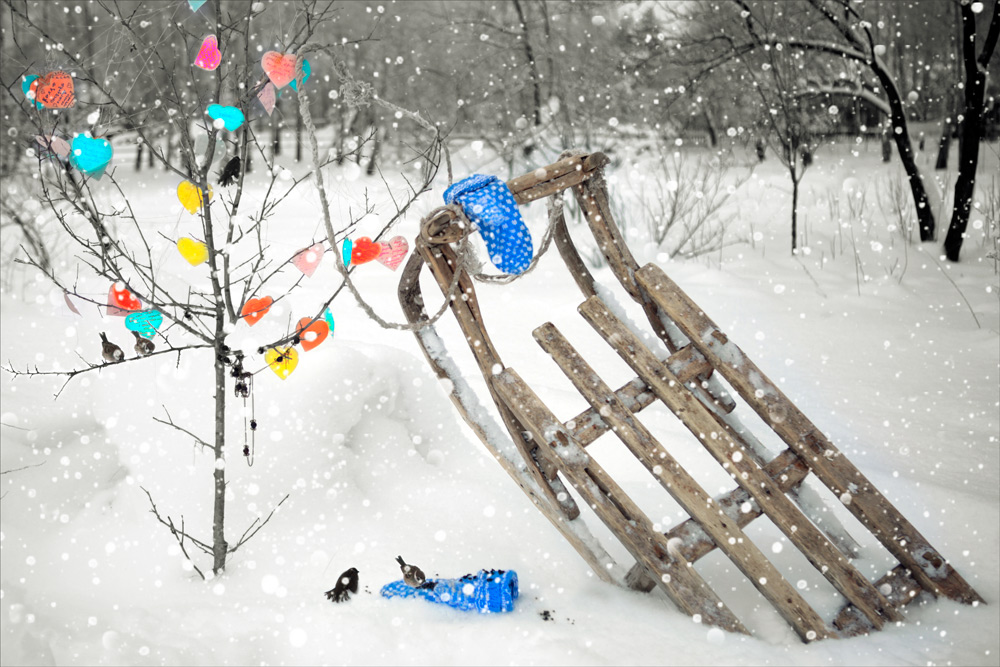 Фотографія поцелуй снежинки / Елена Шовкопляс / photographers.ua