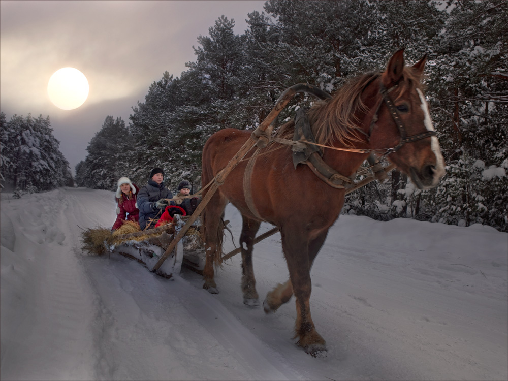 Фотографія волшебная зимняя сказка / Елена Шовкопляс / photographers.ua