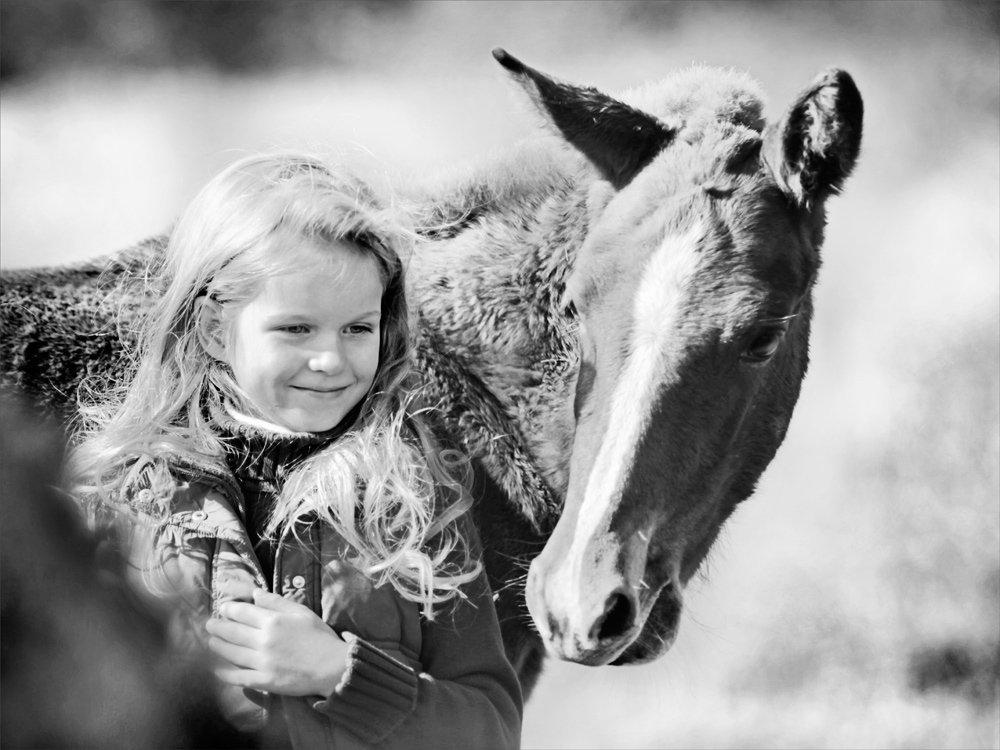 Фотографія я куплю себе лошадку... / Елена Шовкопляс / photographers.ua