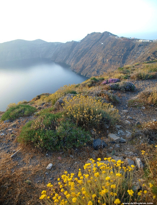 Фотографія *** / Анна Архипова / photographers.ua