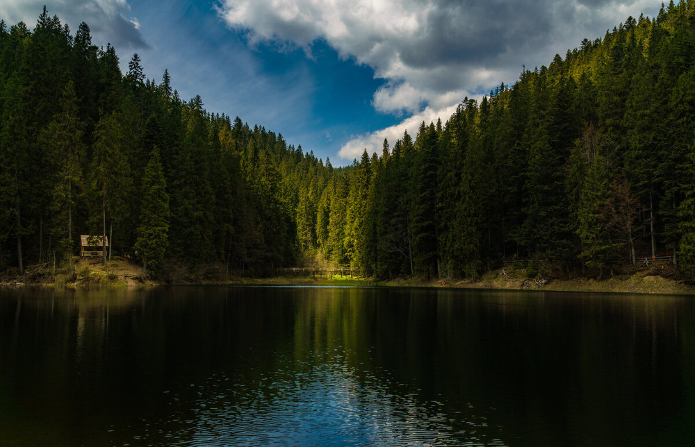 Фотографія Озеро Синевир / Сергей Форос / photographers.ua