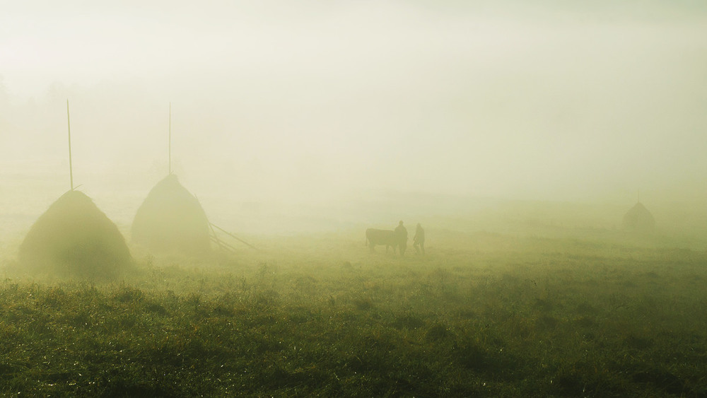 Фотографія Утро в горах / Сергей Форос / photographers.ua