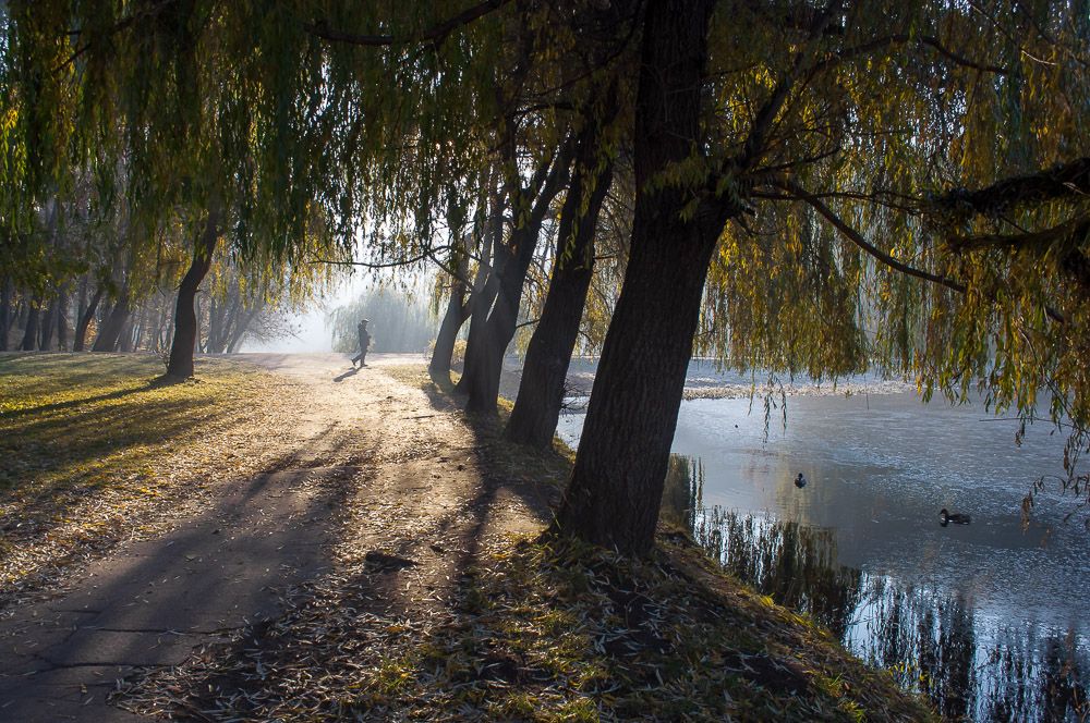 Фотографія В парку / Svitlana Shynkaruk / photographers.ua