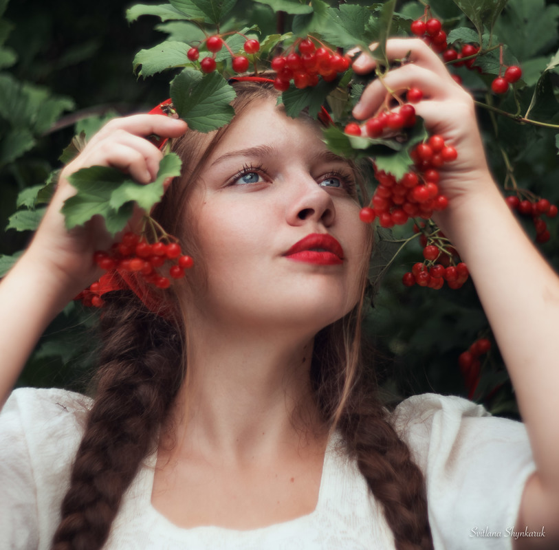 Фотографія Червона калина / Svitlana Shynkaruk / photographers.ua