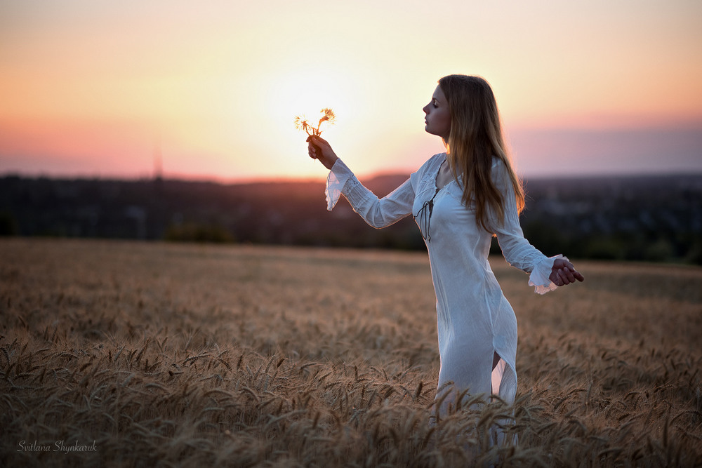 Фотографія Сонячна кульбабка / Svitlana Shynkaruk / photographers.ua