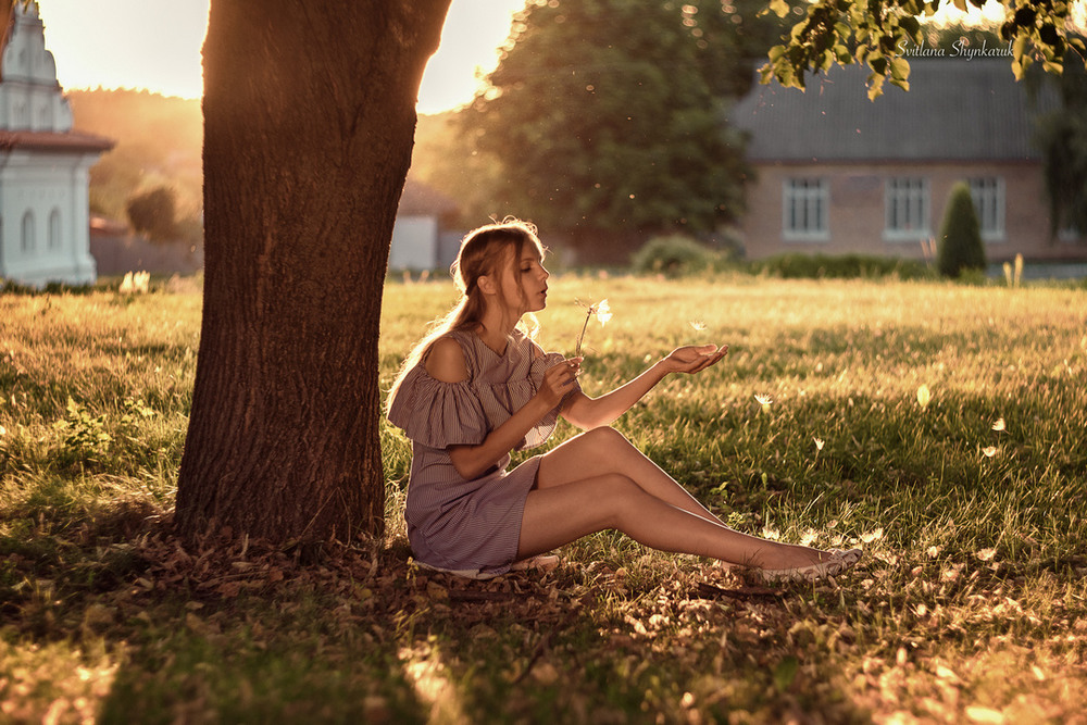 Фотографія Кульбабинки / Svitlana Shynkaruk / photographers.ua