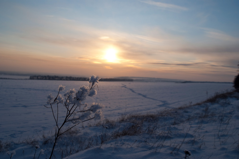Фотографія Зима... / Alexey Kozak / photographers.ua