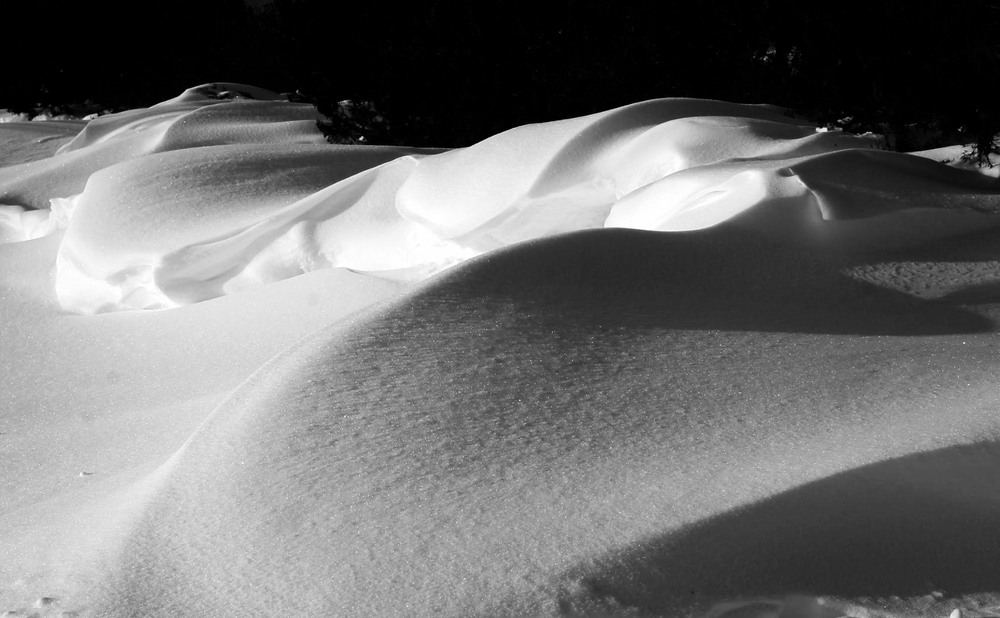 Фотографія Всюду снег... Кругом всё тихо... / Лариса / photographers.ua